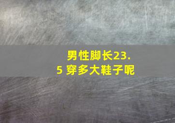 男性脚长23.5 穿多大鞋子呢